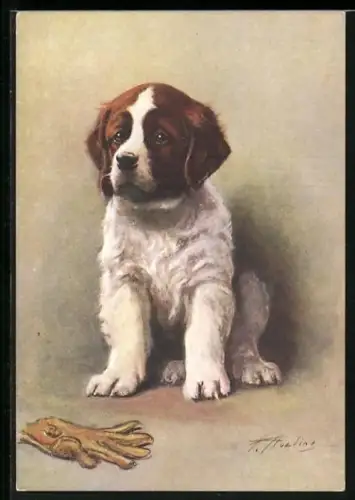 AK Junger Bernhardiner neben einem Handschuh, Portrait