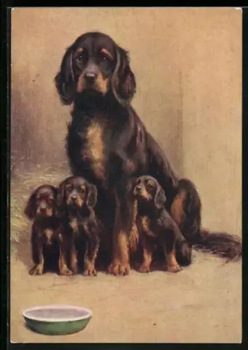 AK Gordon Setter mit drei Jungen, Portrait