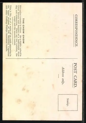 AK Schwarzer Chow Chow, Portrait