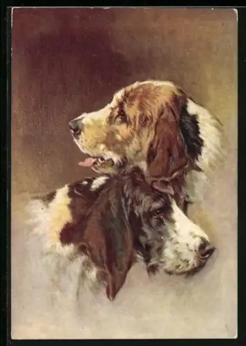 AK Zwei Otter Hounds, Portrait