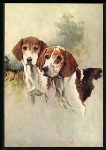 AK Jagdhunde schauen aufs Feld