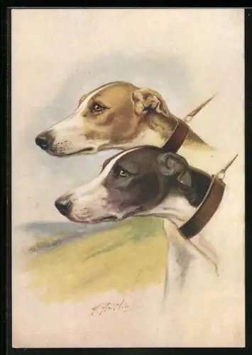 AK Zwei Greyhounds an der Leine, Portrait
