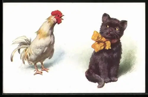 AK Huhn sucht Kontakt zu einerm schwarzen Kätzchen