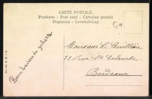 AK Kätzchen mit Tannenzweig, Kaninchen mit Mistel, Neujahrsgruss