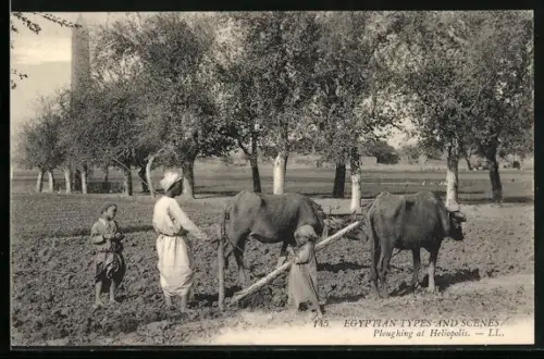 AK Heliopolis, Ploughing at Heliopolis