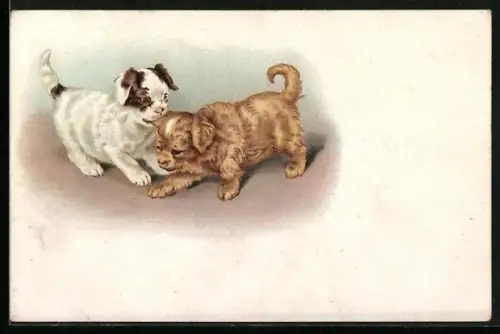 Lithographie Zwei kleine spielende Hunde
