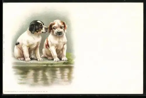Lithographie Zwei junge Hunde, Portrait