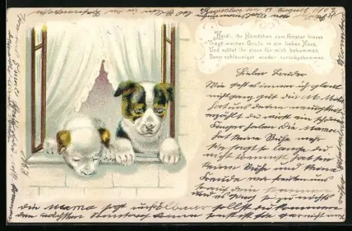 Lithographie Zwei junge Hunde blicken aus einem Fenster