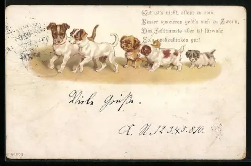 Lithographie Hunde-Rasselbande beim Spaziergang