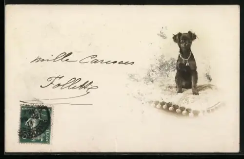 AK Kleiner schwarzer Hund auf einem Kissen