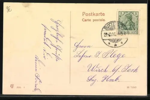 AK Zwei junge Bernhardiner mit einem Spankorb