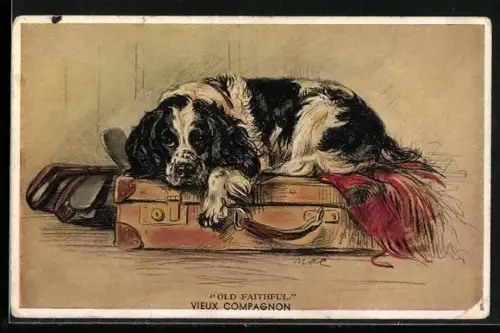 AK Old Faithful, Spaniel auf einem Koffer, Golfschläger
