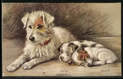 AK Twins, Terrier mit zwei Welpen