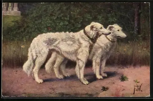 AK Zwei weisse Windhunde im Freien