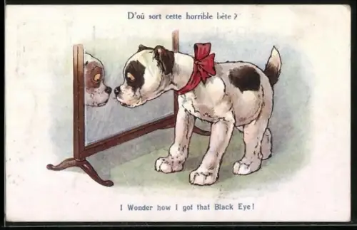 AK I Wonder how I got That Black Eye!, Junger Hund vor dem Spiegel