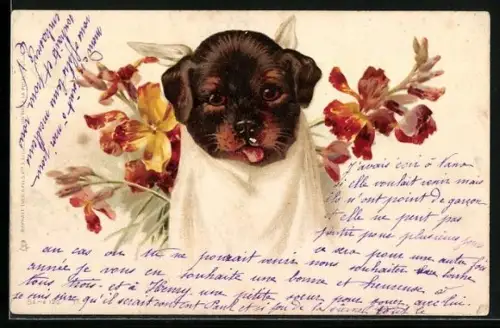 Lithographie Hundewelpe in einem zusammengeknoteten Tuch mit Blumen
