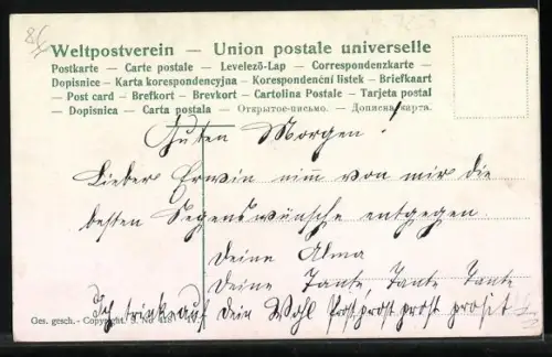 AK Drei Hundewelpen nebeneinander, Portrait