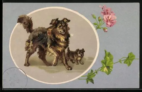 AK Collie mit Welpe, Geranien, Rahmen