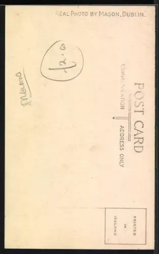 AK Dublin, Organ in St. Michan`s Church