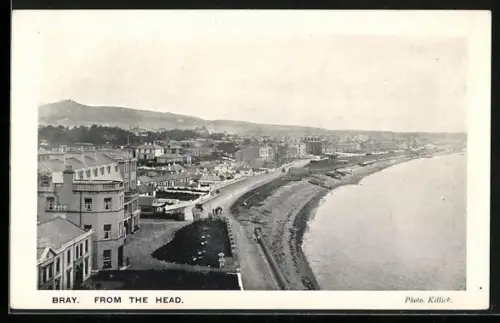 AK Bray, From the Head