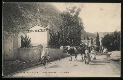 AK El Kantara, Hotel Bertrand, Kamele auf der Strasse
