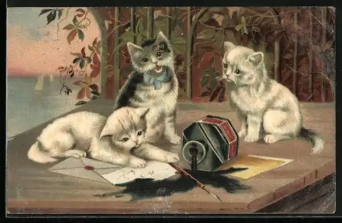 AK Drei Katzen mit einem umgekippten Tintenfass und Federhalter
