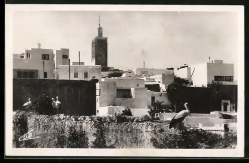 AK Rabat, Les Cigognes aux Oudaias