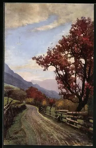 Künstler-AK Photochromie Nr. 3495: Weg nach Schönna