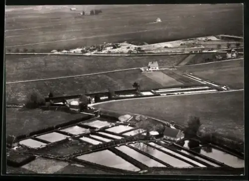 AK Heimertingen /Schwaben, Forellenzucht Wessberg