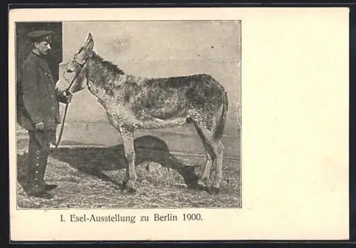 AK Berlin, I. Esel-Ausstellung 1900, Wärter mit Esel