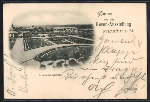 AK Frankfurt a. M., Rosen-Ausstellung, Gesamtansicht