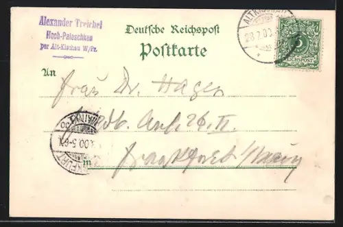 Lithographie Hamburg, Allgemeine Gartenbau-Ausstellung 1897, Eingangstore: Millerntor und Holstentor