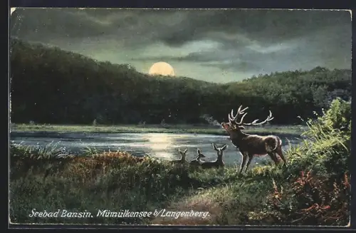 Künstler-AK Bansin, Mümülkensee bei Langenberg, Hirsch am Seeufer bei Mondschein