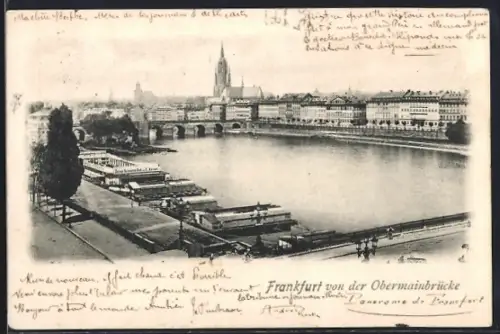 AK Frankfurt, Obermainbrücke, Mainpanorama, Dom