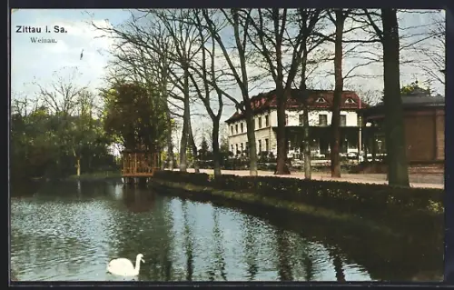 AK Zittau i. Sa., Weinau mit Uferpartie