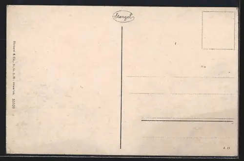 AK Boppard, Staatsfähre, Rheinansicht