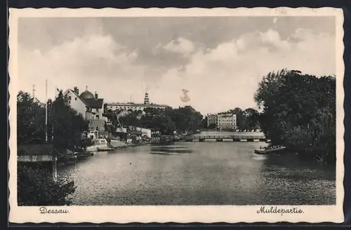 AK Dessau, Muldepartie
