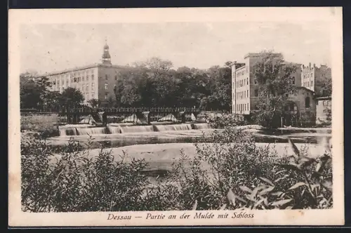 AK Dessau, Partie an der Mulde mit Schloss