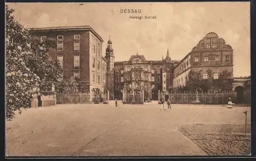 AK Dessau, Herzogliches Schloss