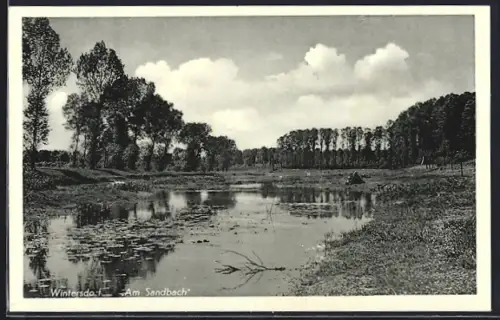AK Wintersdorf / Rastatt, Am Sandbach