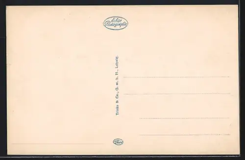 AK Koblenz a. Rhein, Moselbrücke