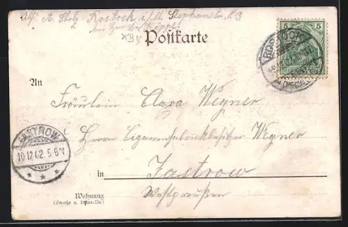 AK Rostock, Universität