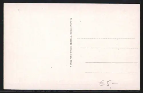 AK Rostock, Steintor und Ständehaus