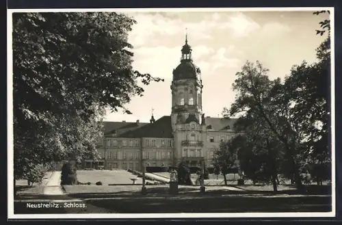 AK Neustrelitz, Schloss