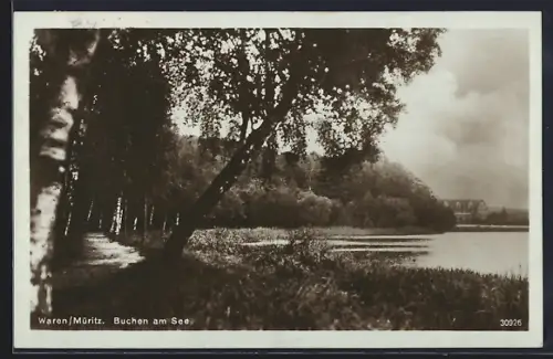 AK Waren /Müritz, Buchen am See