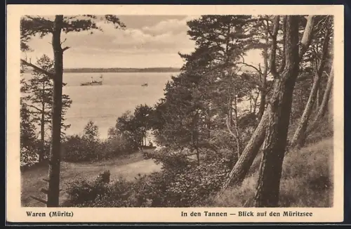 AK Waren /Müritz, In den Tannen, Blick auf den Müritzsee