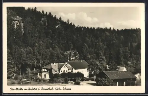 AK Rosenthal /Sächs. Schweiz, Otto-Mühle