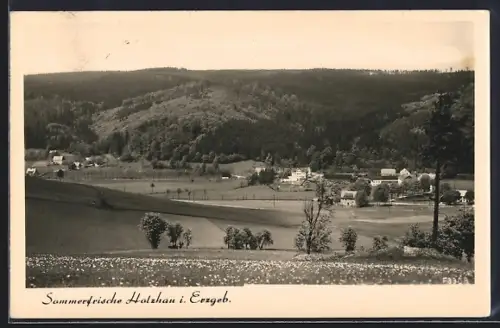 AK Holzhau i. Erzgeb., Ortsansicht mit Wald