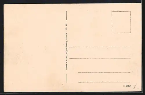 AK Putbus a. Rüg., Wildpark