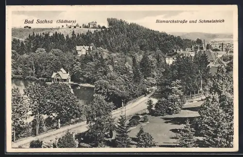 AK Bad Sachsa /Südharz, Bismarckstrasse, Schmelzteich